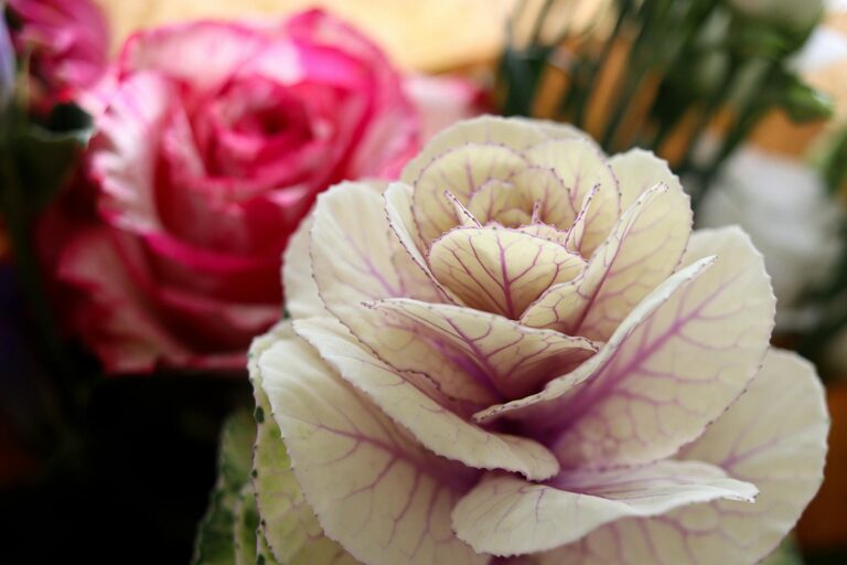 How to Refresh Your Home with Plants: Easy Tips for a Lively Space